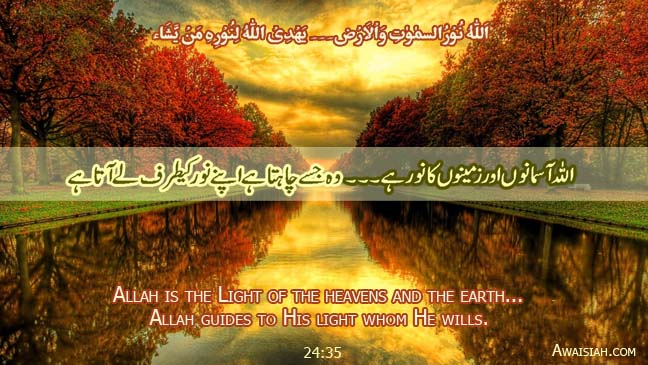 Allah Guides to His Light...